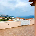 En Zar ξυλόκαστρο *