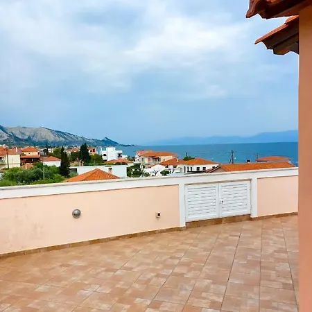 En Zar ξυλόκαστρο *