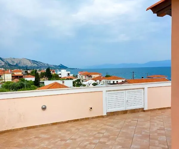 En Zar ξυλόκαστρο *