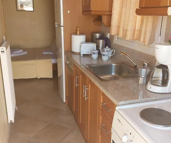 En Zar ξυλόκαστρο